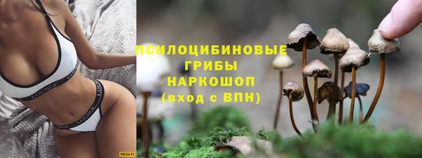 крисы Алексин