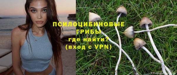 соль ск Алексеевка