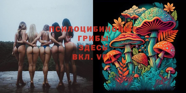 соль ск Алексеевка