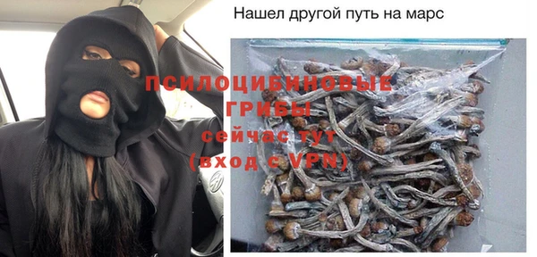 крисы Алексин