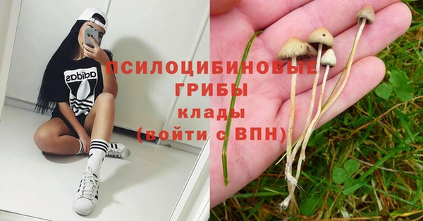 винт Абаза