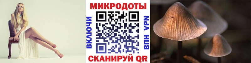 Псилоцибиновые грибы мицелий  Железноводск 